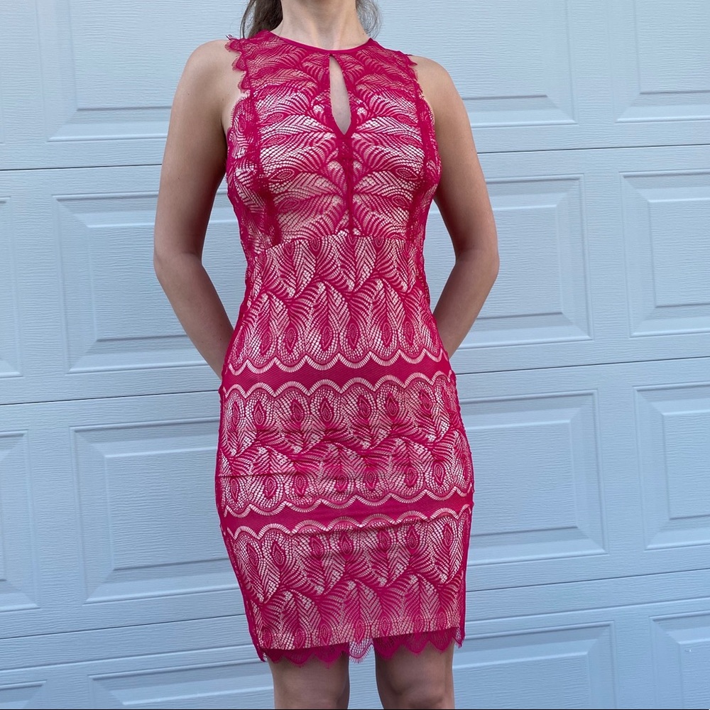 Bebe Body Con Lace Dress